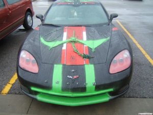 ruined-nice-cars-09_28_10-920-12.jpg