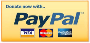 paypal.jpg
