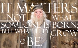 MattersnotDumbledore.jpg
