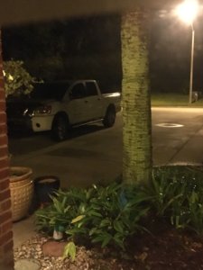 IMG_07021.jpg