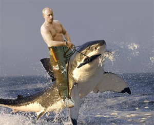 putinshark.png