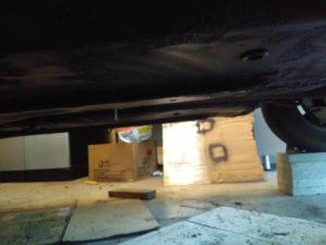 IMG_20171007_175113.jpg
