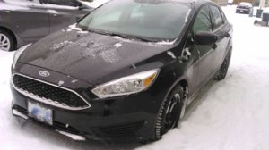 MyFocus.jpg