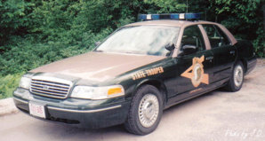 npca0302-vi.jpg