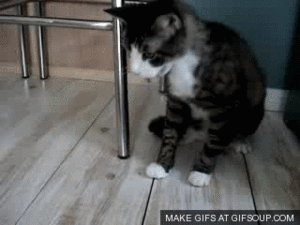 hairball-o.gif
