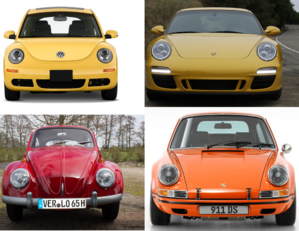 FlattenedBeetle.png