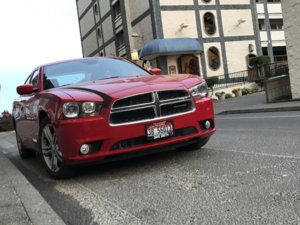 IMG_0420.jpg