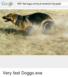 google-very-fast-doggo-running-at-incredible-hihg-speed-very-9551632.png