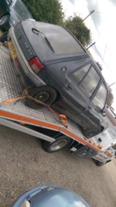 IMAG0190.jpg