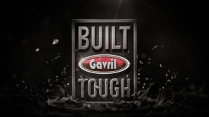 Gavril_02.png