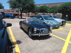 IMG_20170723_132146.jpg