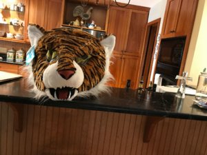 tigermask.jpg