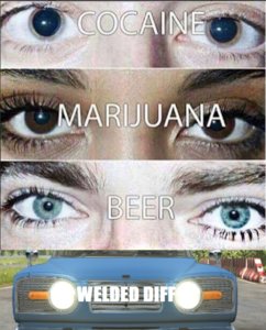 28f.jpg