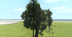 screenshot_00156.png