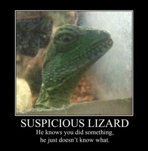 suspicious.jpg