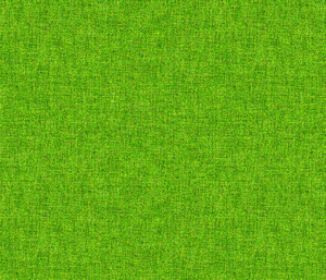 pickle_textured_background_divided_shop_preview1.png
