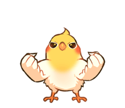 11205424.png