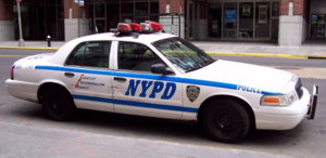 nypd1178.jpg
