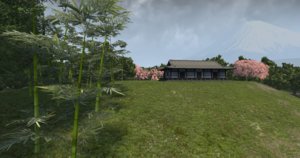 fujigoko15.jpg