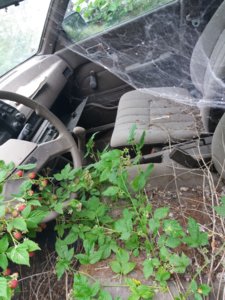 20170725_120625.jpg