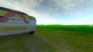 grass.jpg