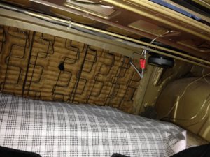 IMG_2981.JPG