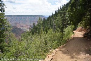 15-07-18-Grand-Canyon-North-Kaibob-Trail.jpg