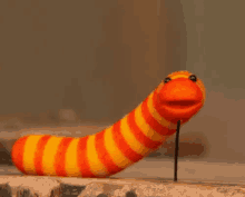 orangewormnope.gif