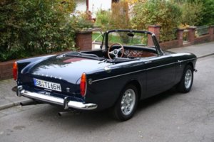 sunbeam-tiger-001_0917_big-230822.jpg