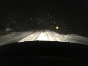 IMG_1119.jpg