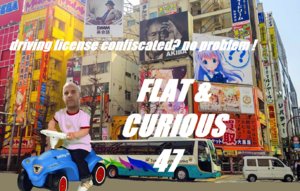 flatandcurious.jpg