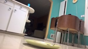 WP_20171231_20_52_03_Pro.jpg