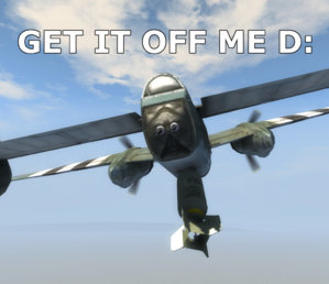 lmajo.jpg