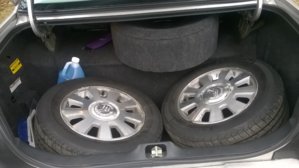 Trunk.jpg