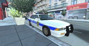 mypolice1.png