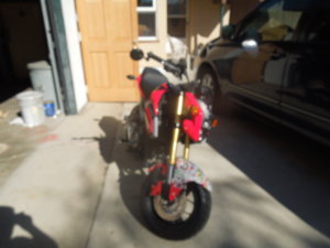 DSCN0213.jpg