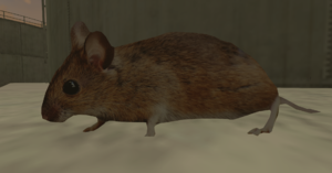 screenshot_00795.png