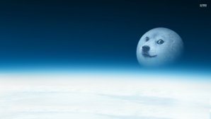 doge-27301-1920x1080.jpg