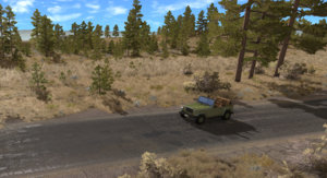 303.jpg