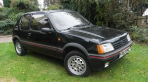 peugeot-205-gti01.jpg