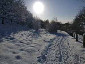 IMG_20180228_153727.jpg