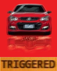 roadcruiser.jpg