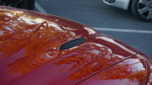DSC01910.jpg