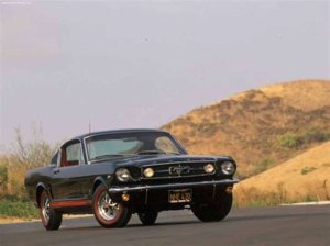 mustang1.jpg