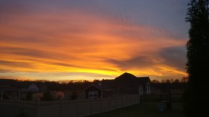 IMG_20171127_170936.jpg