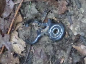 ripfidgetspinner.jpg