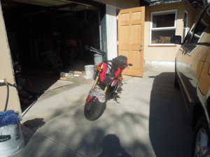 DSCN0212.jpg