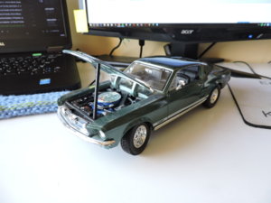 DSCN1167.jpg