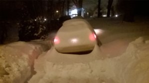 SnowyMarq.jpg