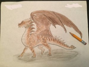 IMG_3533.jpg